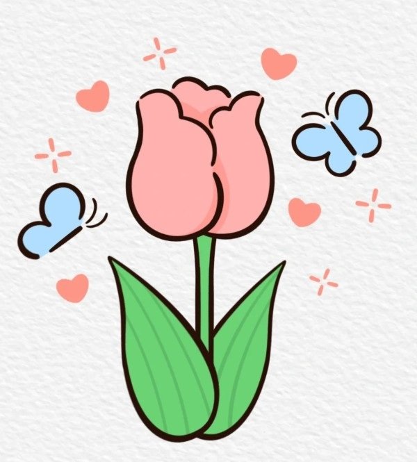 How to draw a tulip flower