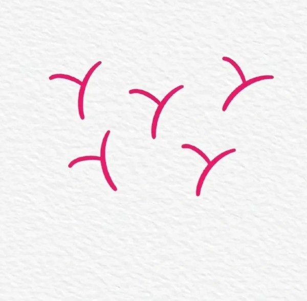 How to draw a tulip step by step 1