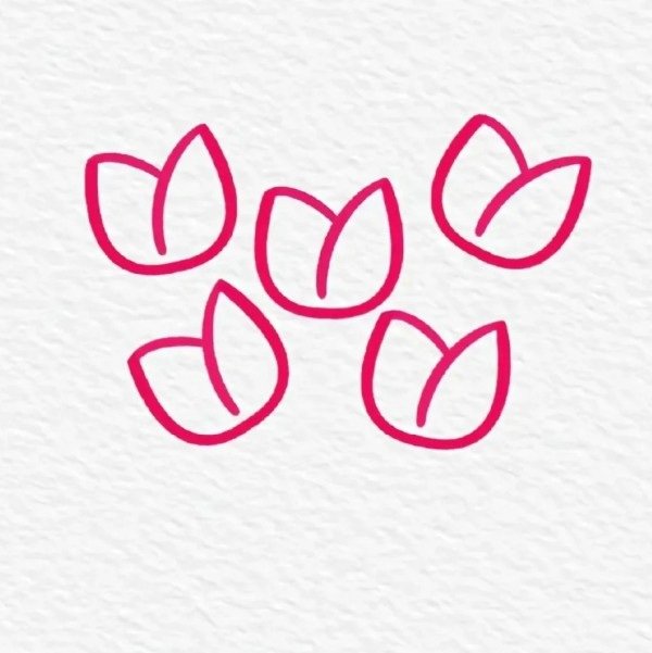 How to draw a tulip step by step 2