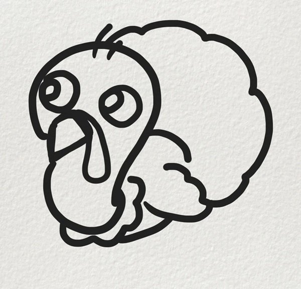 How to draw a Turkey easy 5
