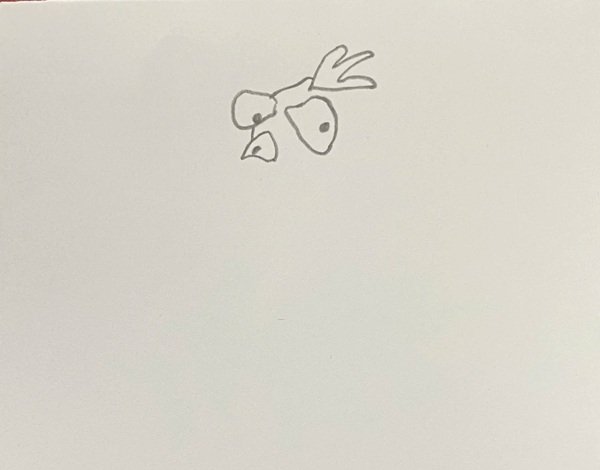 How to draw a Turkey for kids 2
