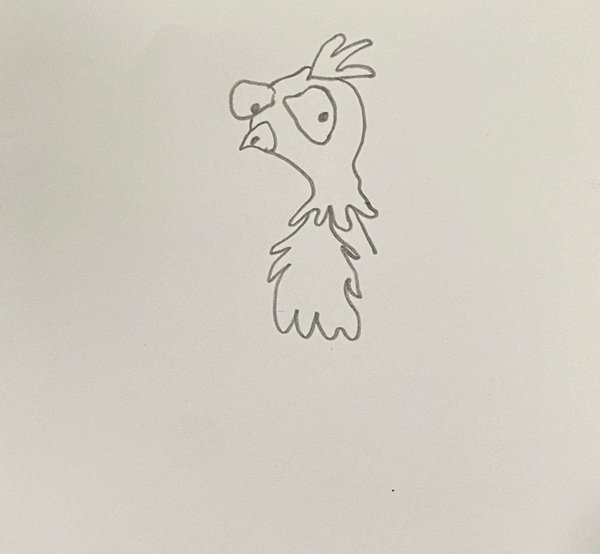 How to draw a Turkey for kids 3