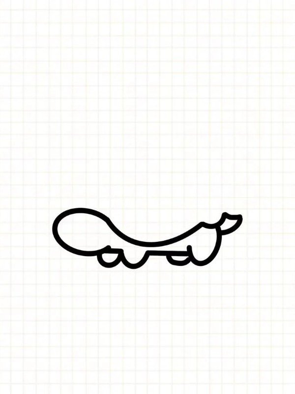How to draw a turtle for kids 3