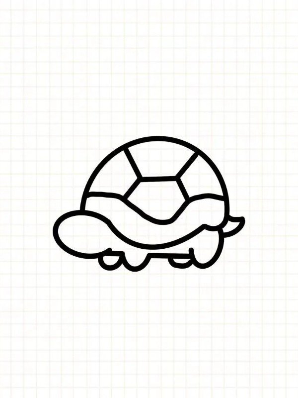 How to draw a turtle for kids 4