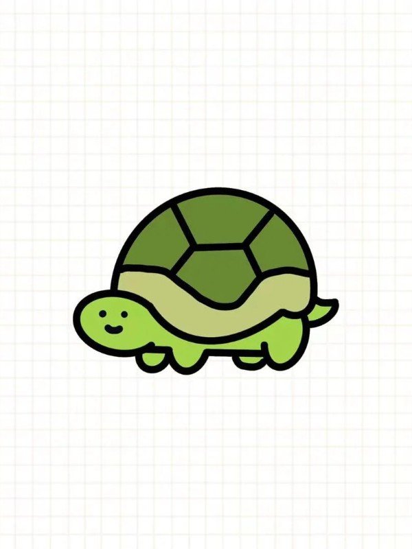 How to draw a turtle for kids