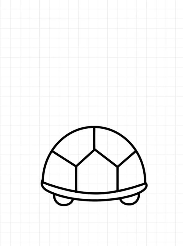 How to draw a turtle simple 4