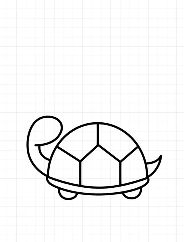 How to draw a turtle simple 5