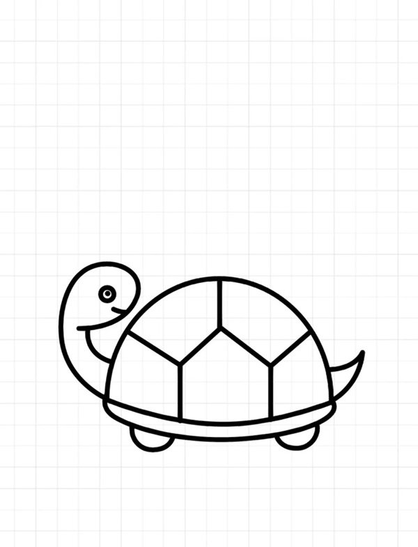 How to draw a turtle simple 6