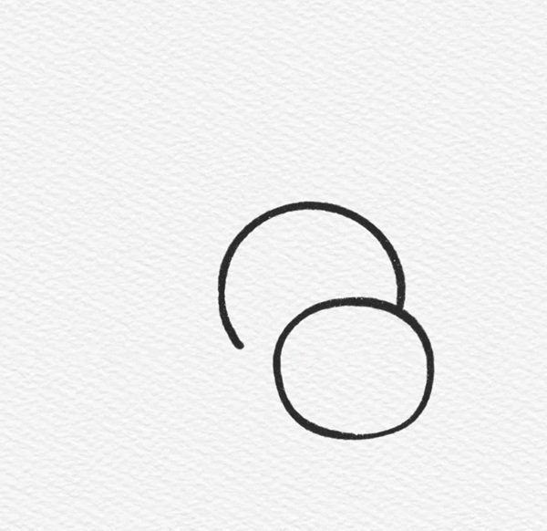 How to draw a turtle step by step 