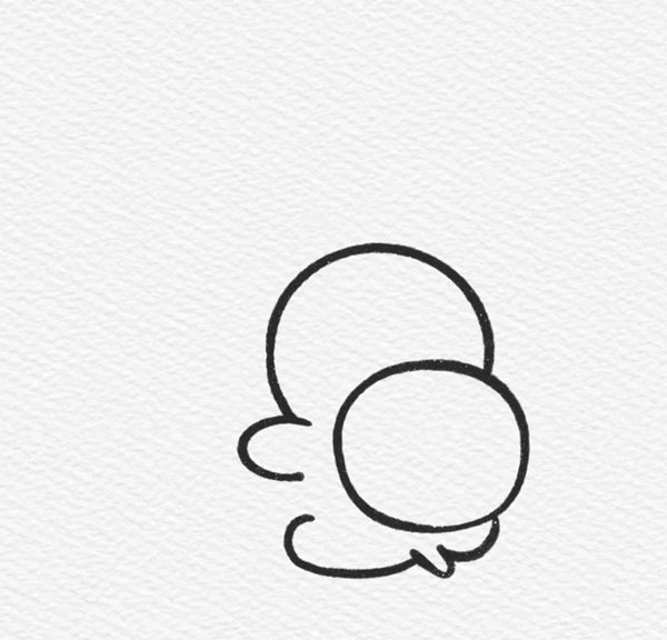 How to draw a turtle step by step 2