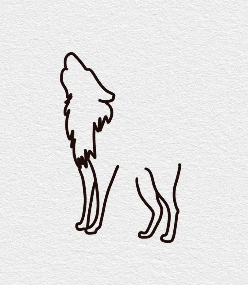 How to draw a Wolf easy 3
