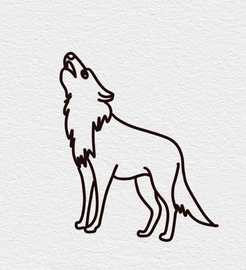 How to draw a Wolf easy