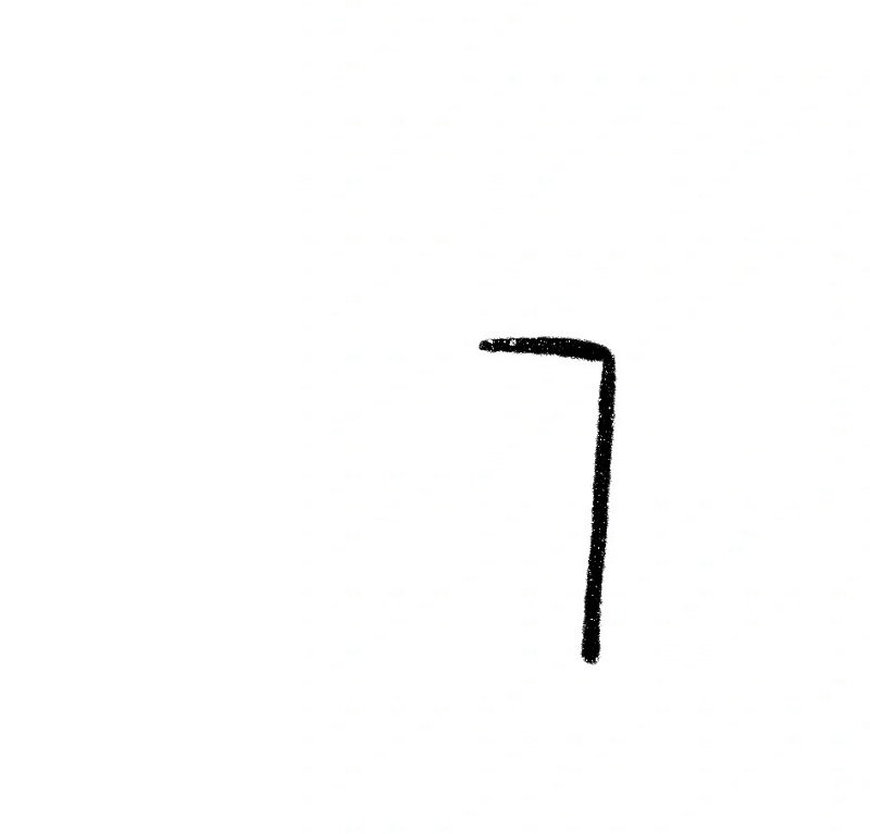 How to draw a zebra easy 1