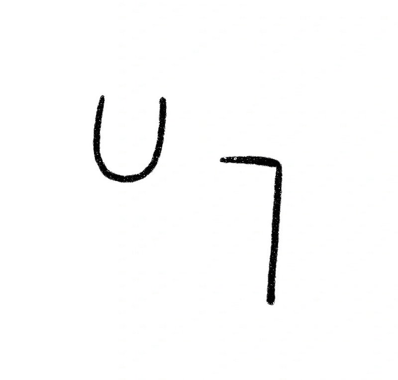 How to draw a zebra easy 2