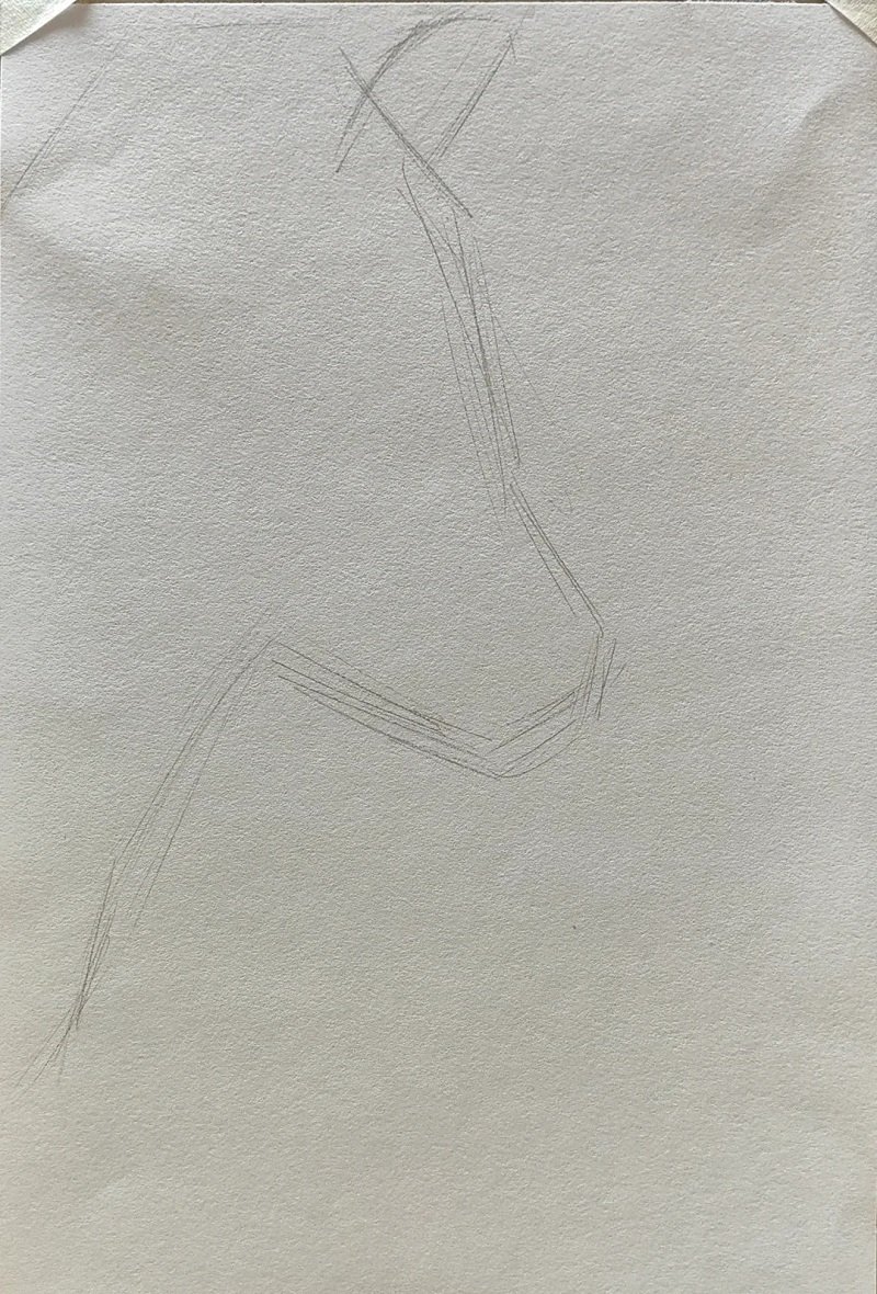 how to draw a zebra head 1