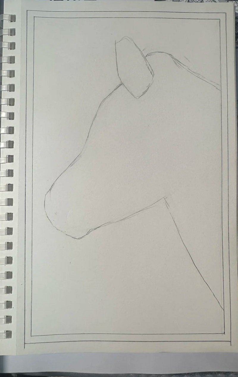 How to draw a zebra step by step 1