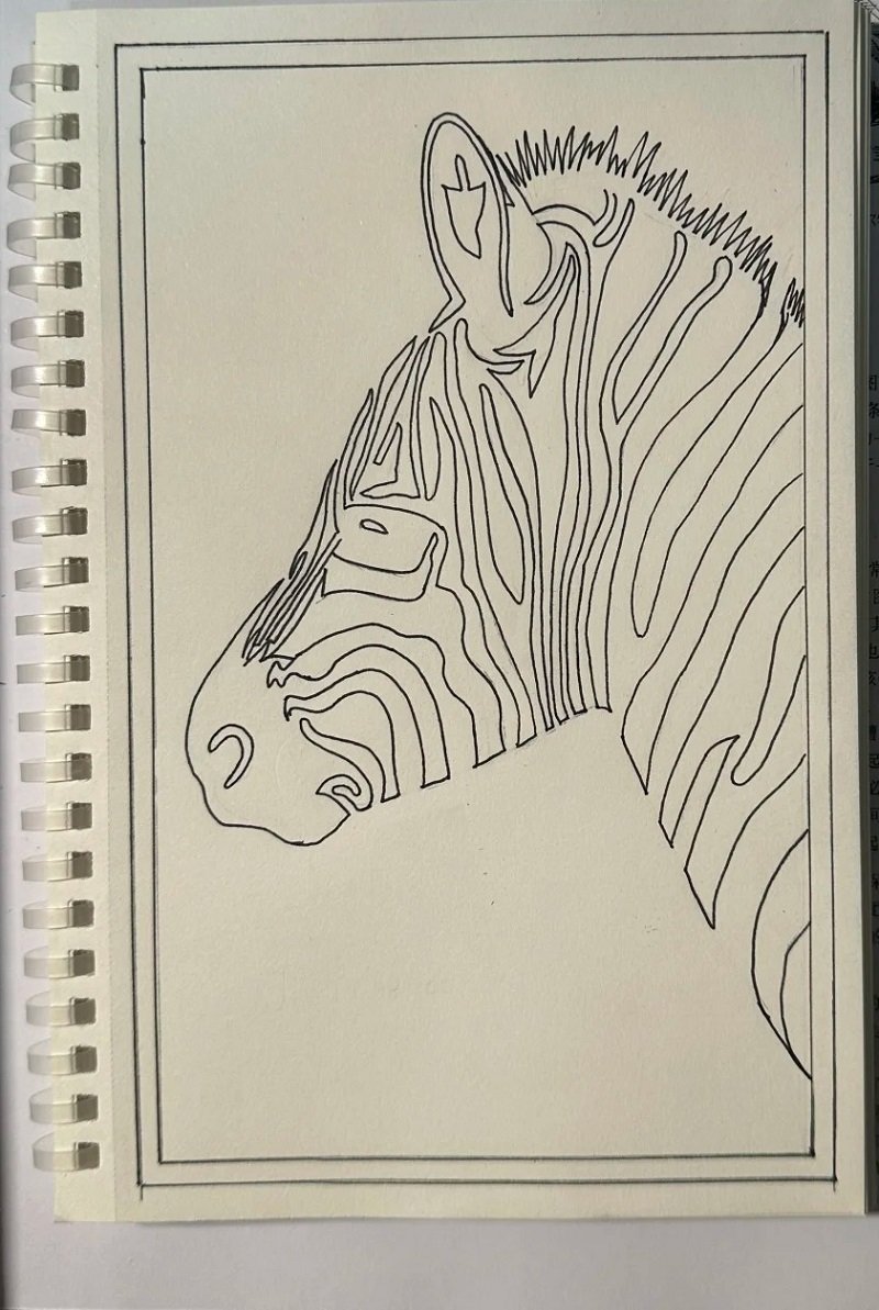 How to draw a zebra step by step 2