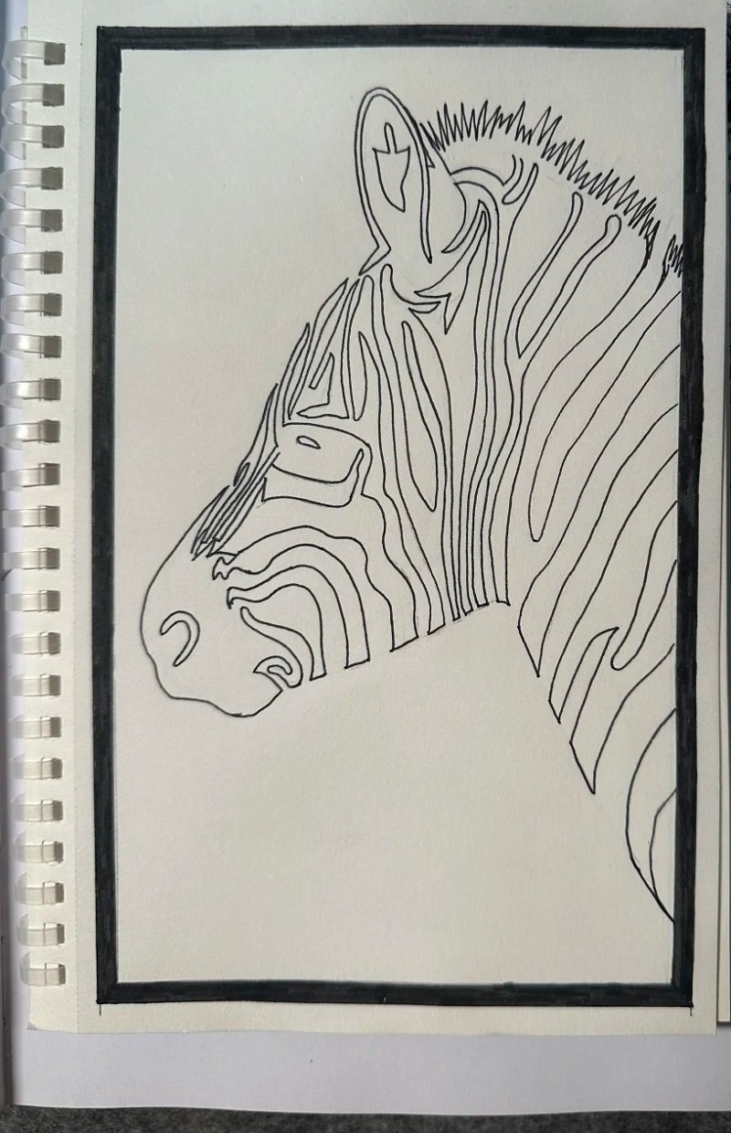 How to draw a zebra step by step 3
