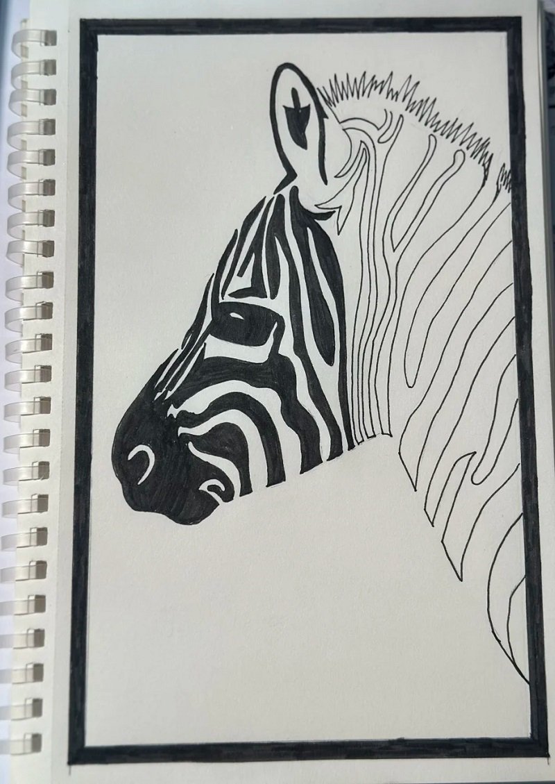 How to draw a zebra step by step 4