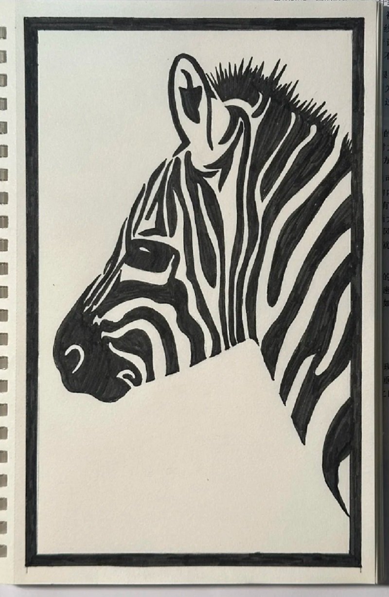How to draw a zebra step by step