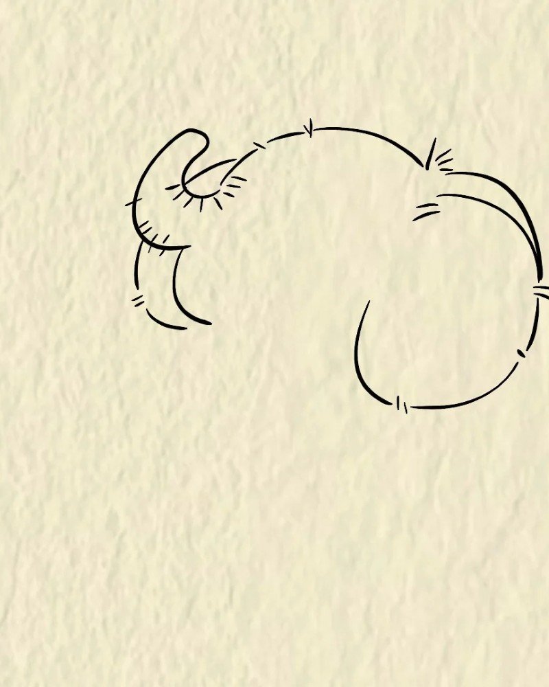 How to draw an easy elephant 2