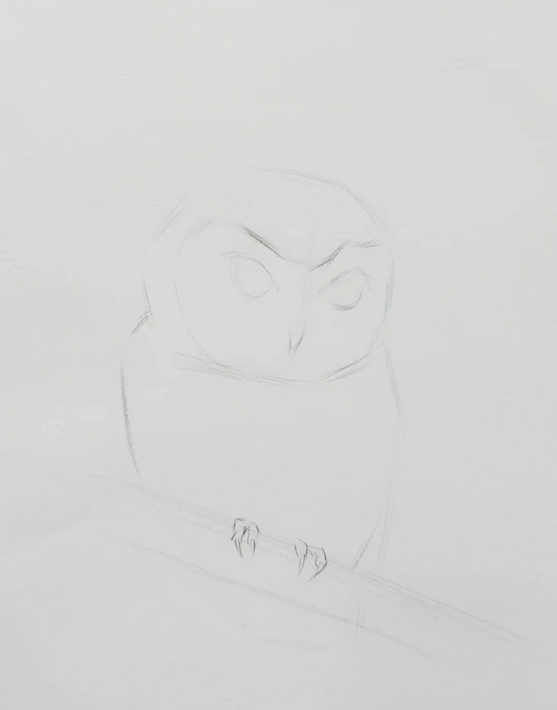 How to draw an easy owl 1