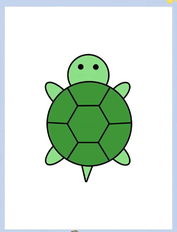 How to draw an easy turtle