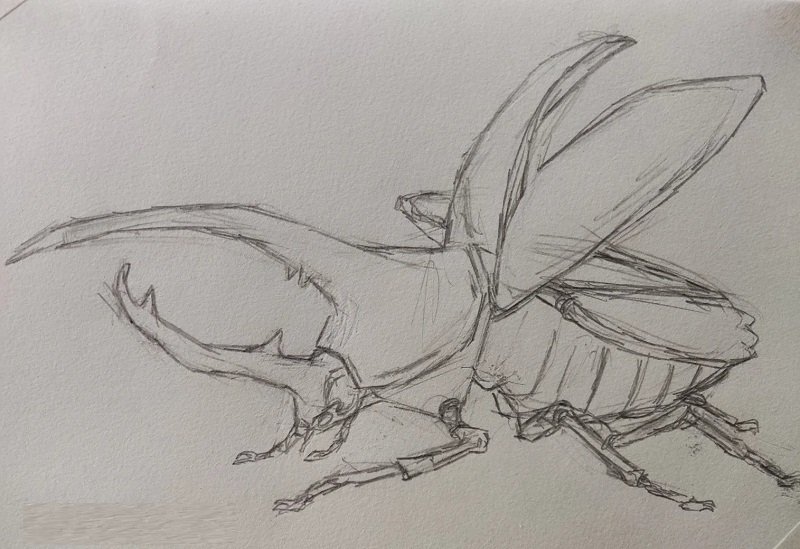 How to draw an egpytian Scarab 2