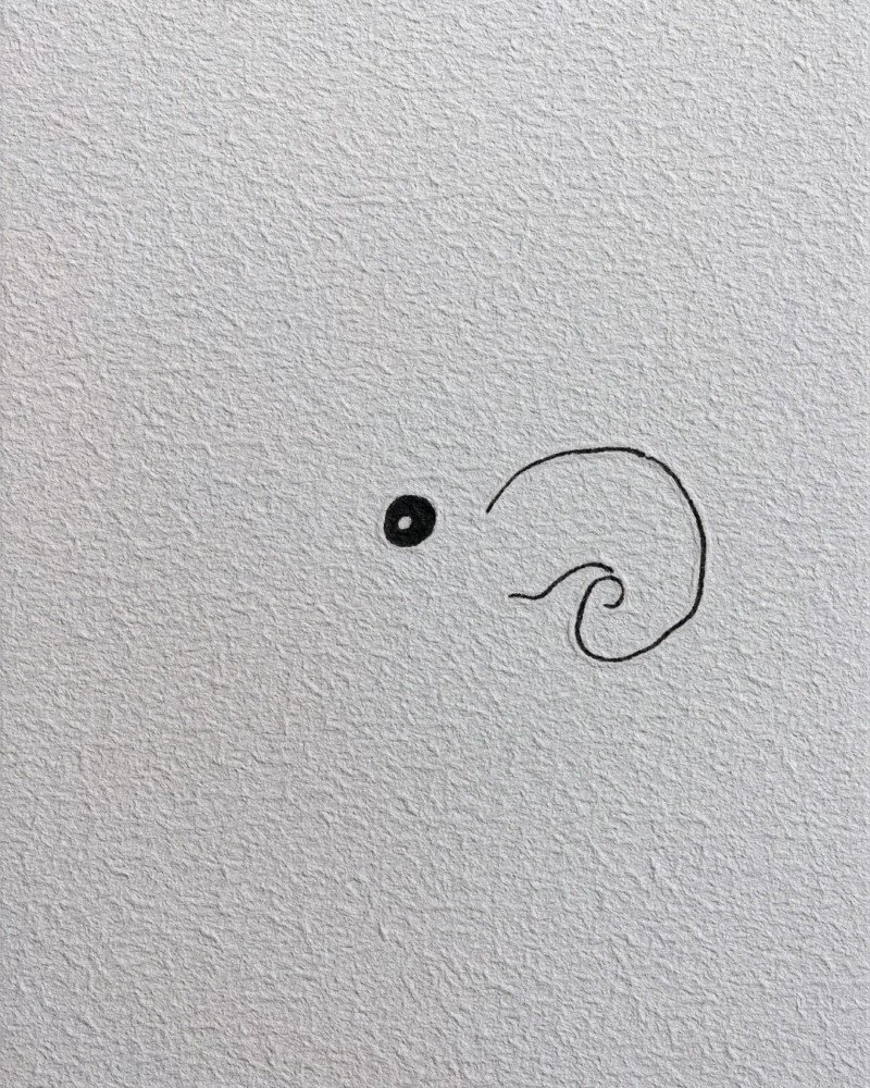 How to draw an elephant easy step by step​ 2