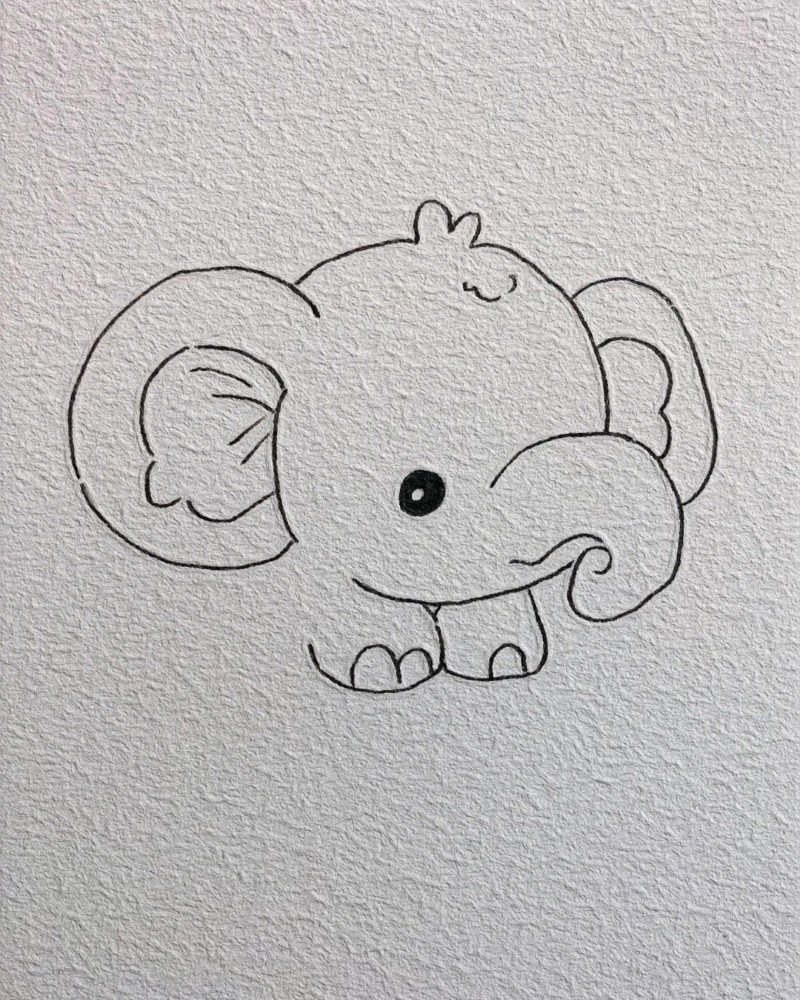 How to draw an elephant easy step by step​ 5