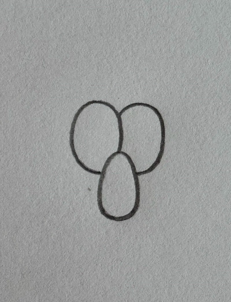 How to draw an Octopus easy