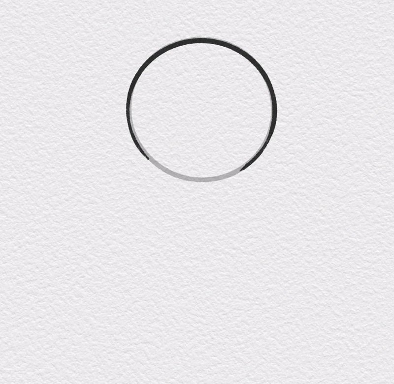 How to draw an Octopuss step by step 2