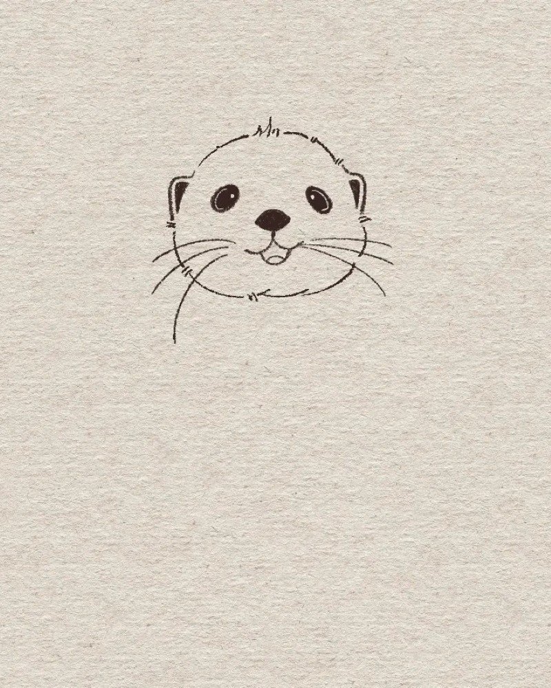 How to draw an otter easy and cute 4