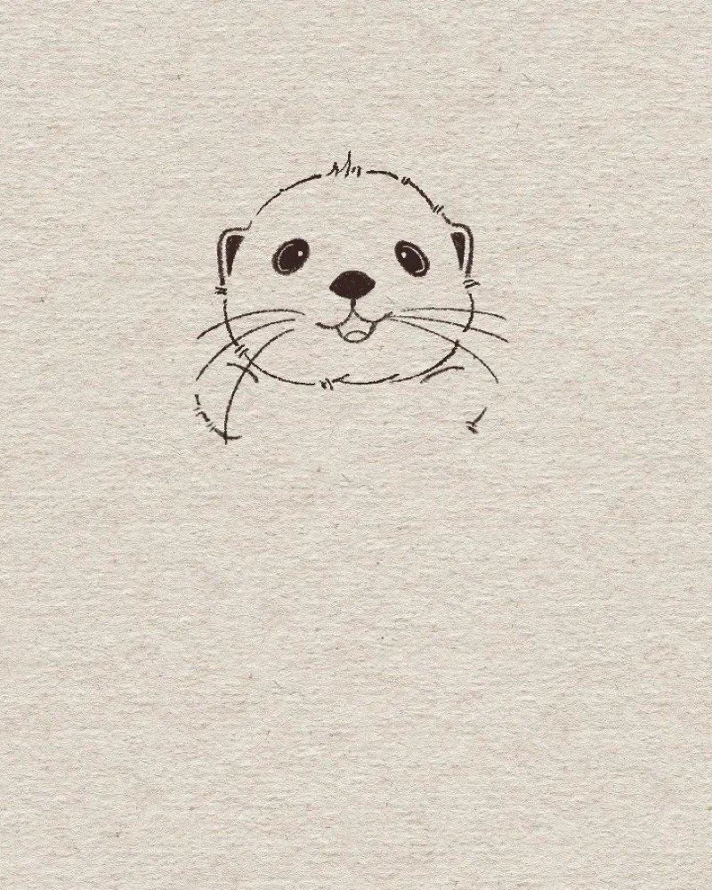 How to draw an otter easy and cute 5