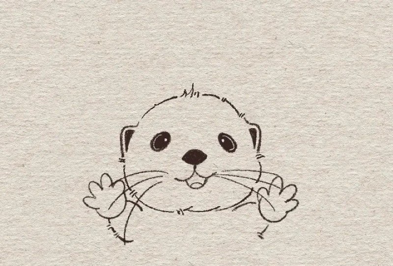 How to draw an otter easy and cute 6