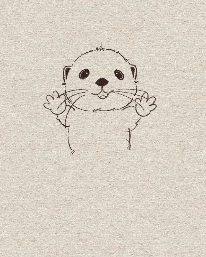 How to draw an otter easy and cute 7