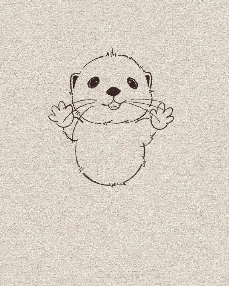 How to draw an otter easy and cute 8