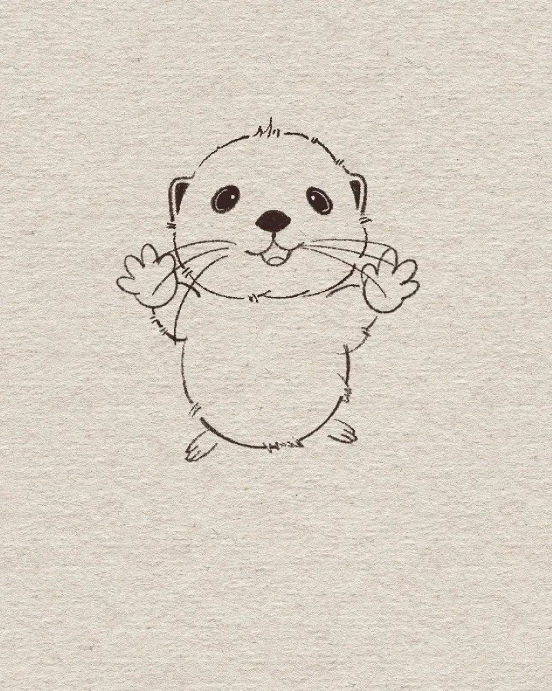 How to draw an otter easy and cute 9