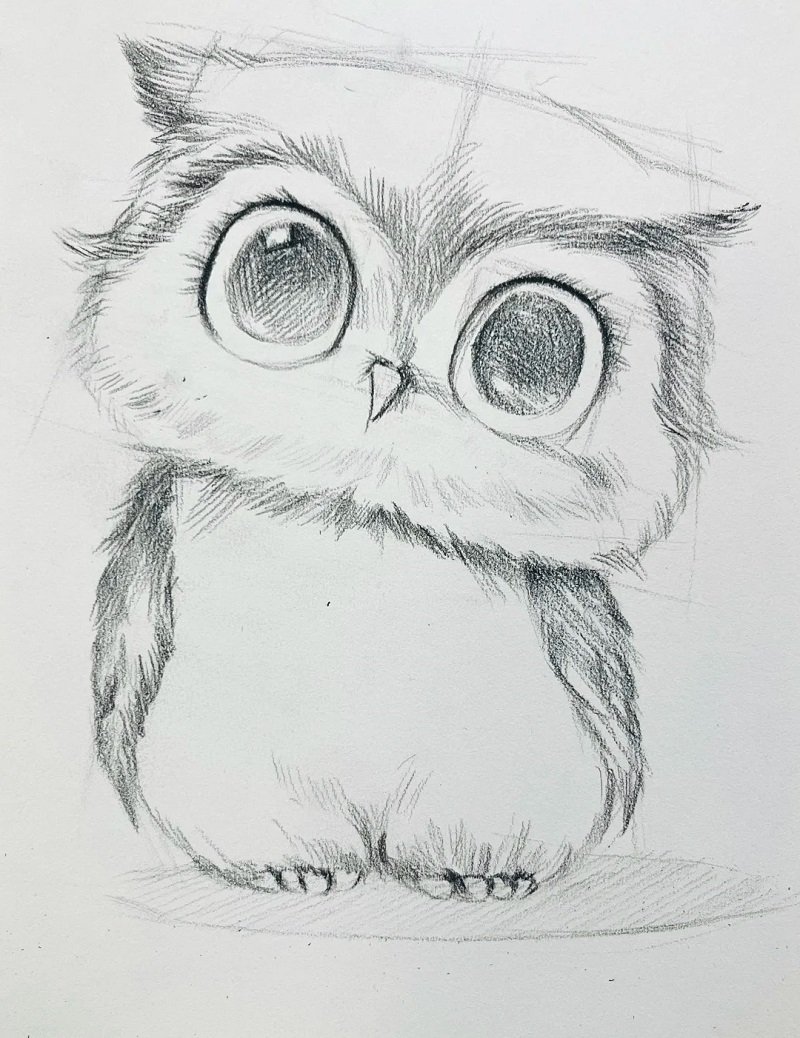 How to draw an owl easy 3