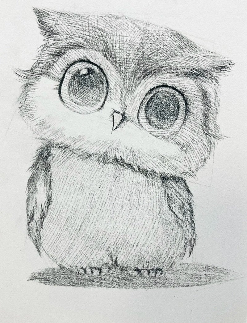 How to draw an owl easy 4