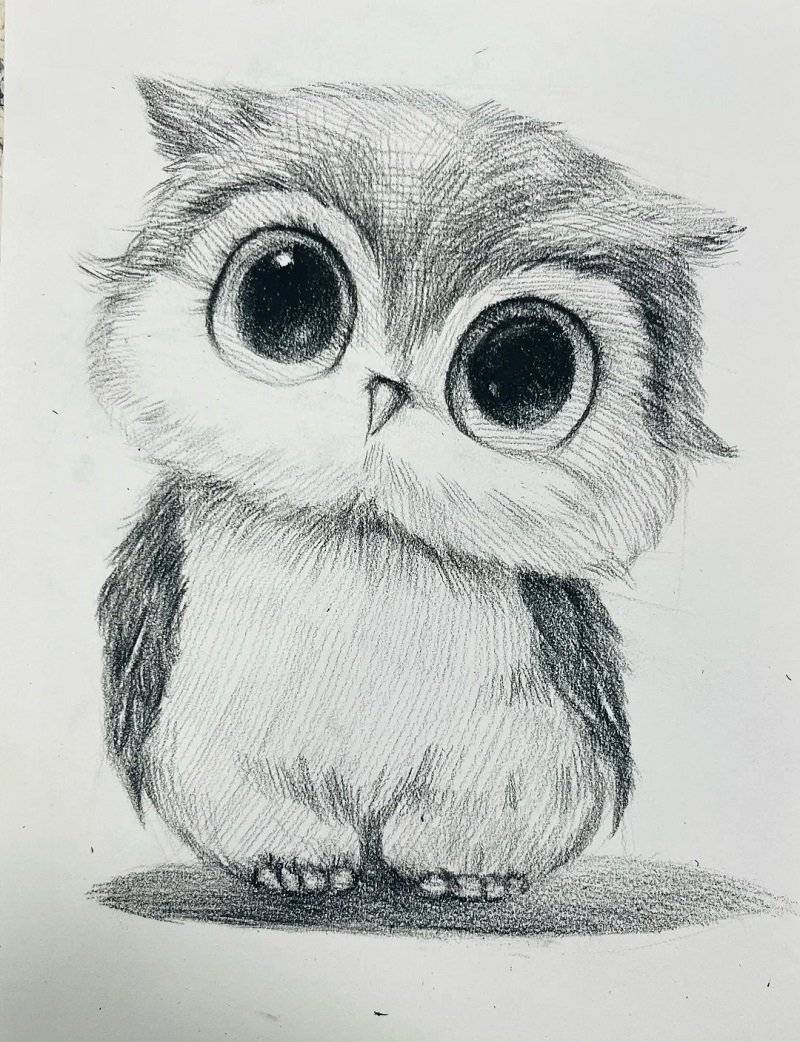 How to draw an owl easy 5