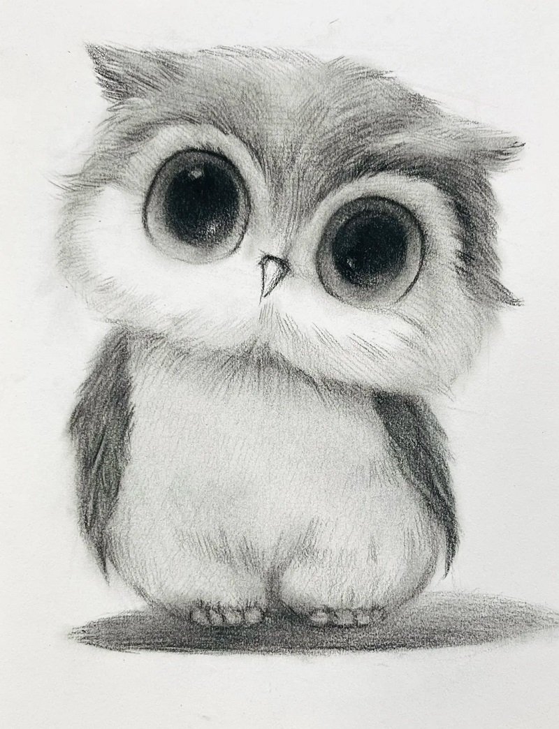 How to draw an owl easy 6