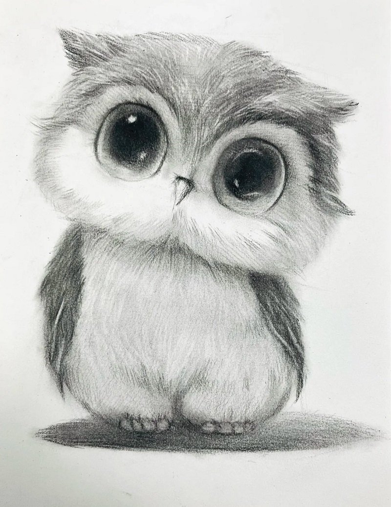 How to draw an owl easy