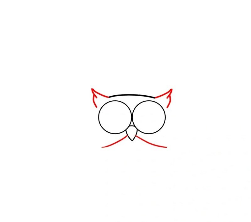 How to draw an owl for kids 3
