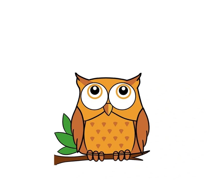 How to draw an owl for kids