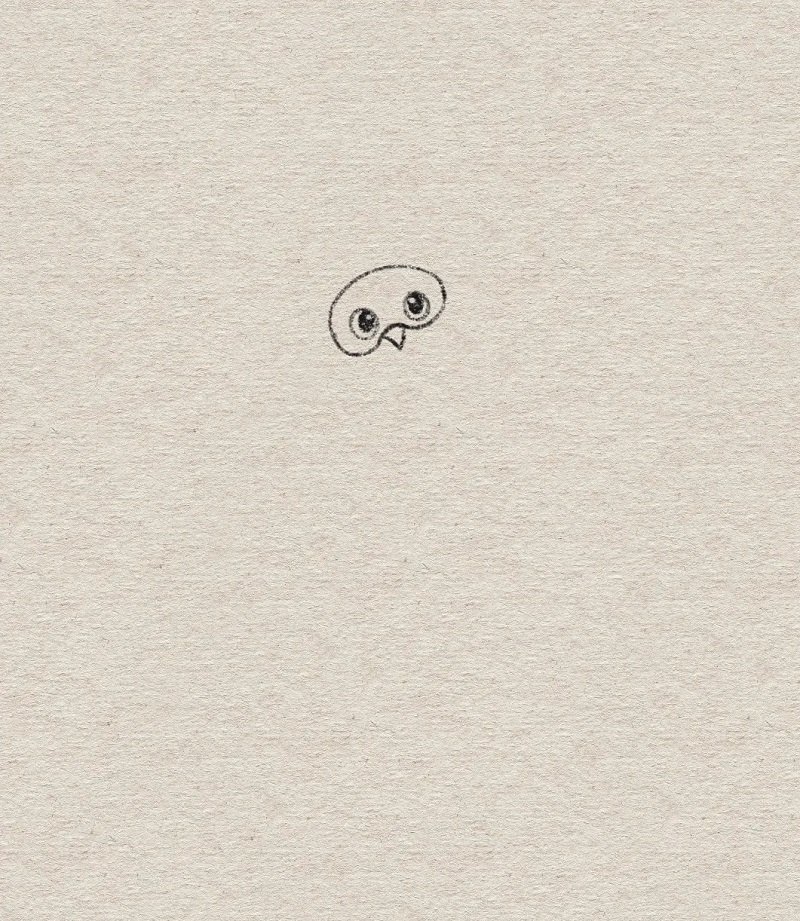 How to draw an easy owl step by step 2