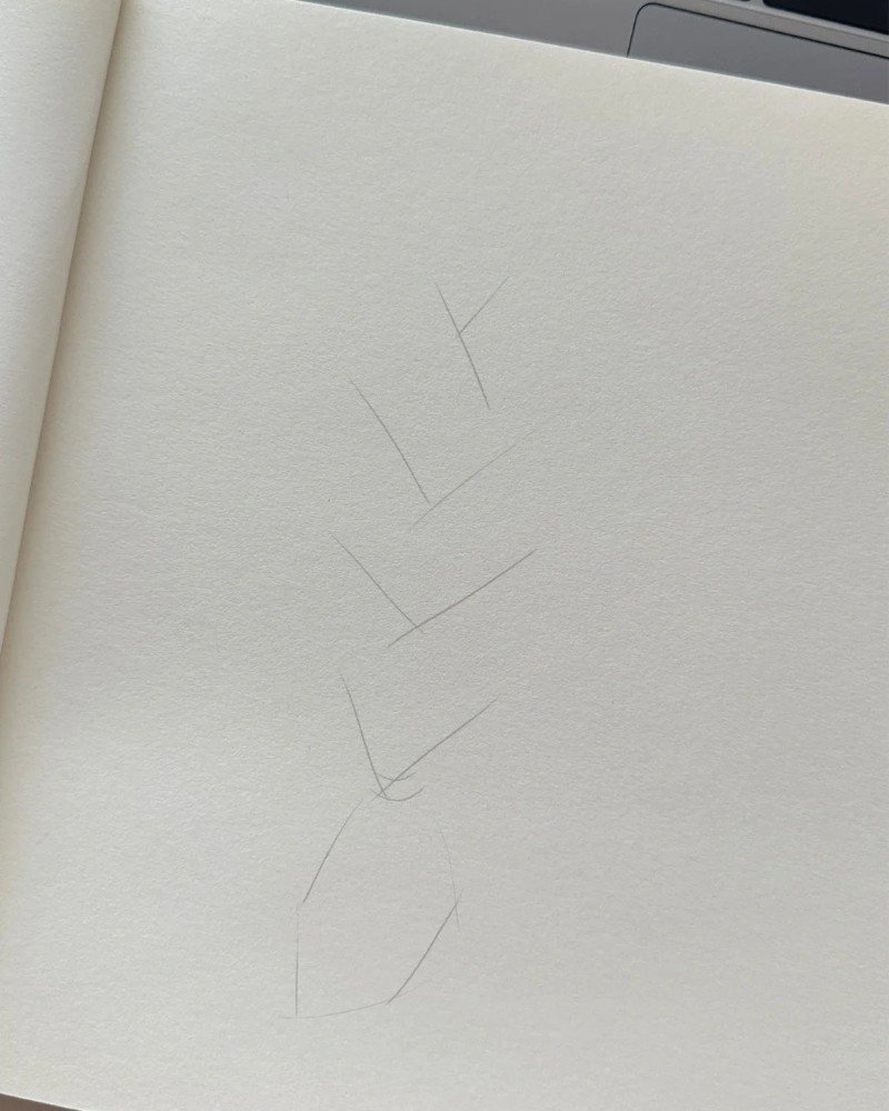 How to draw braids 1