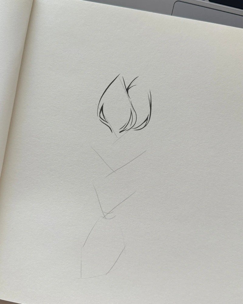 How to draw braids 2