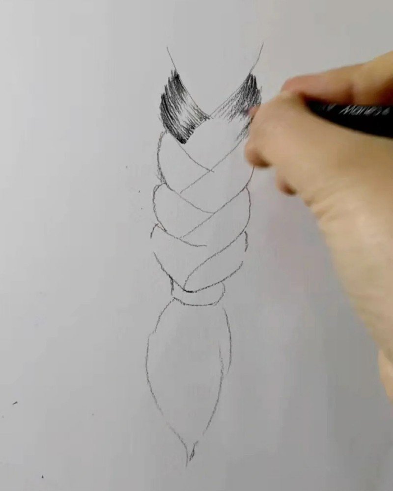 How to draw braids in hair 4