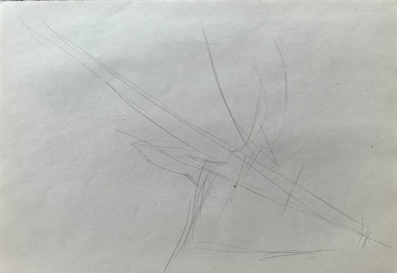 How to draw Deer easy 1